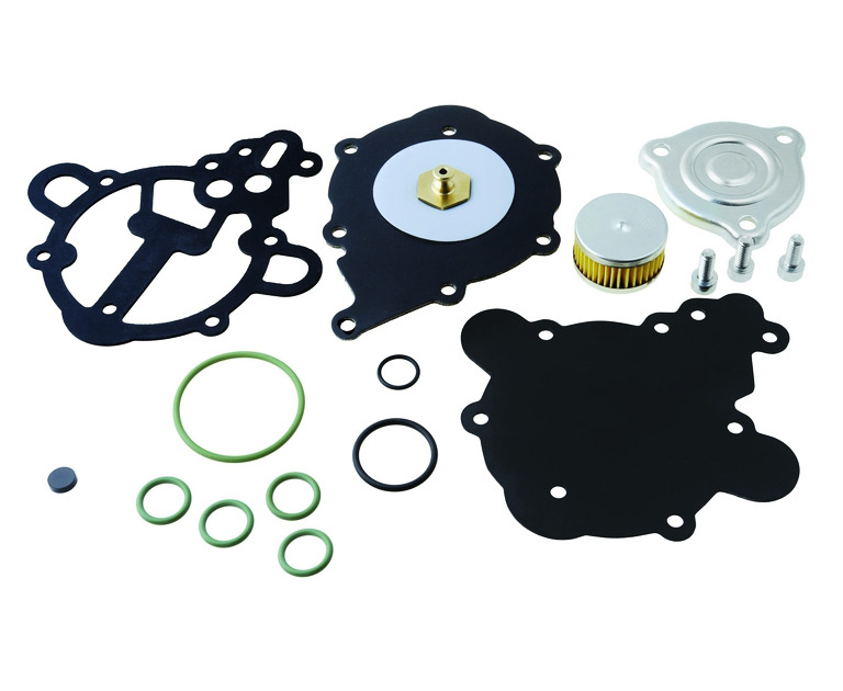 RGAT2090 LPG reducer ALASKA maintenance kit